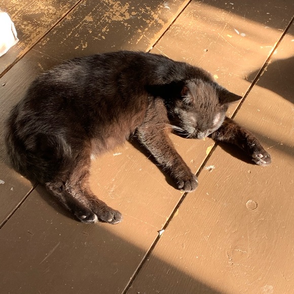 Hiya,this is me! And more... - Picture 2 of 6